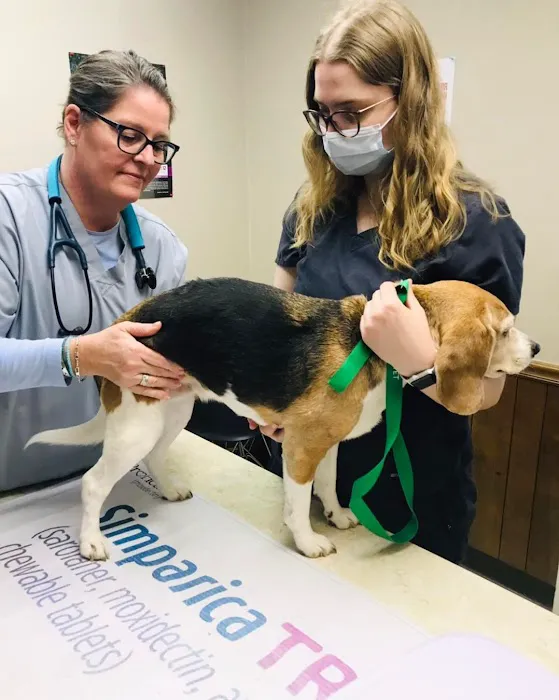 Bellshire Family Vet Picture 4
