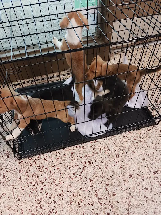 Grassmere Animal Hospital PC Picture 6