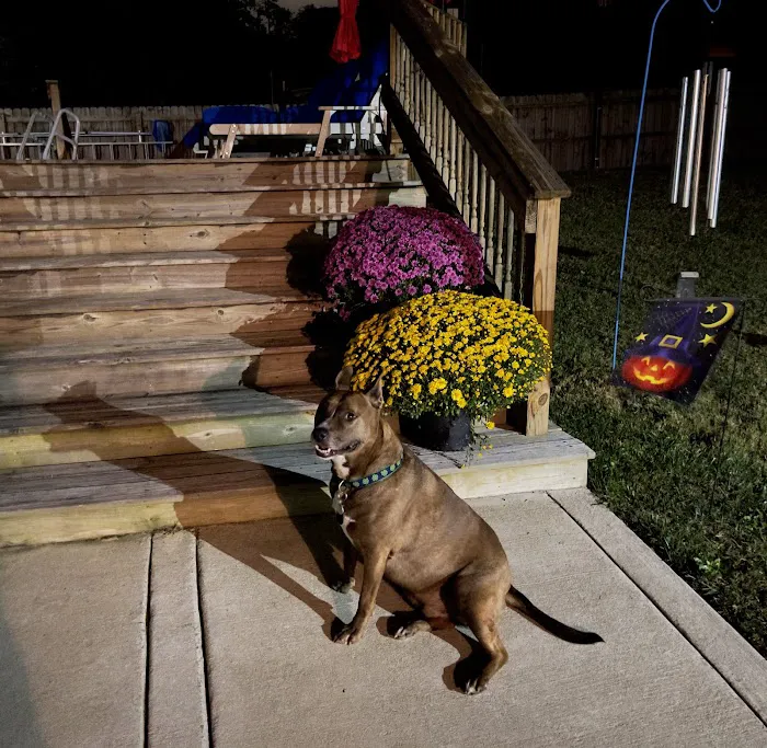 Elm Hill Veterinary Clinic Picture 6