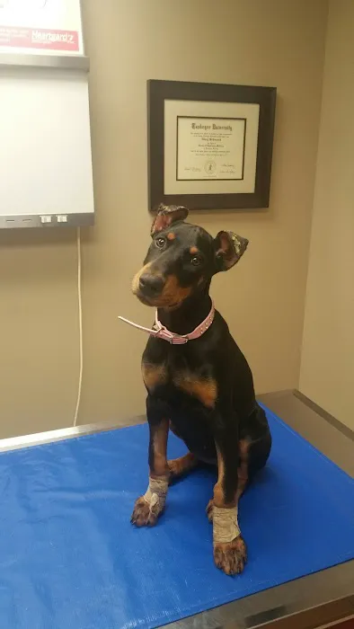 McCormick Animal Clinic Picture 4
