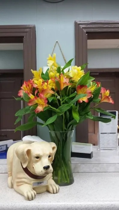 Lebanon Road Animal Hospital Picture 5