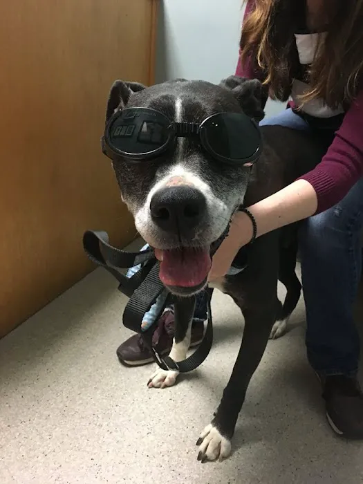 Lebanon Road Animal Hospital Picture 6