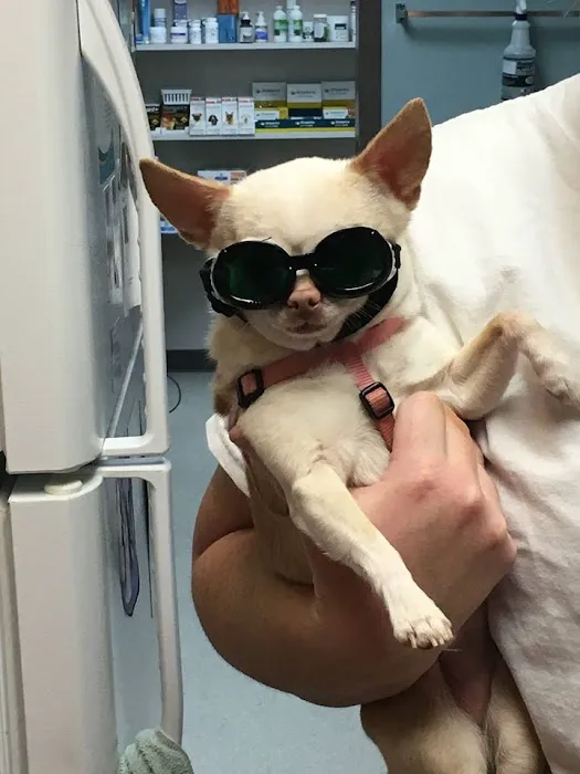 Lebanon Road Animal Hospital Picture 7