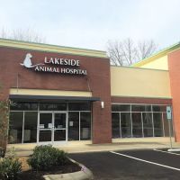 Lakeside Animal Hospital ico