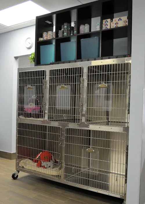 Lakeside Animal Hospital Picture 9
