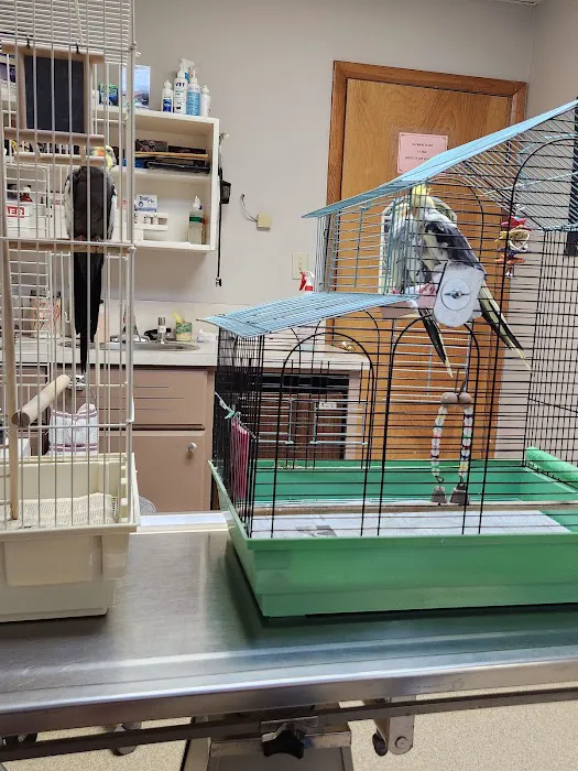 Airport Animal Clinic Picture 8
