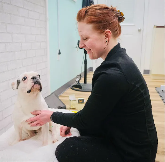 The Vital Spark: Veterinary Rehab and Acupuncture Picture 3