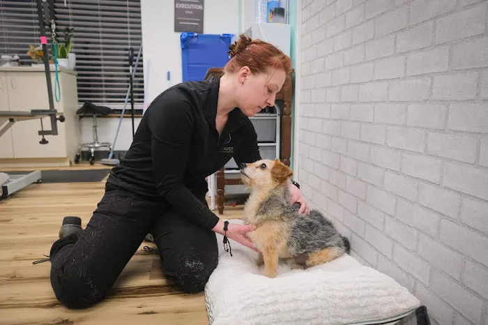 The Vital Spark: Veterinary Rehab and Acupuncture Picture 6