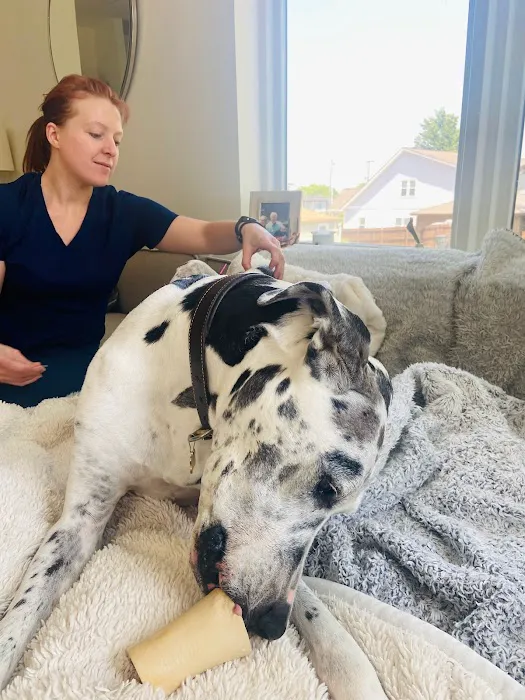 The Vital Spark: Veterinary Rehab and Acupuncture Picture 7