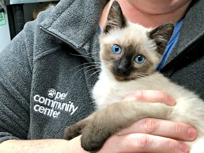 Pet Community Center Picture 8