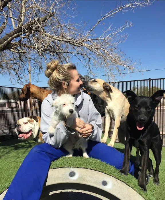 Tempe Lake Veterinary Clinic & Pet Resort Picture 8