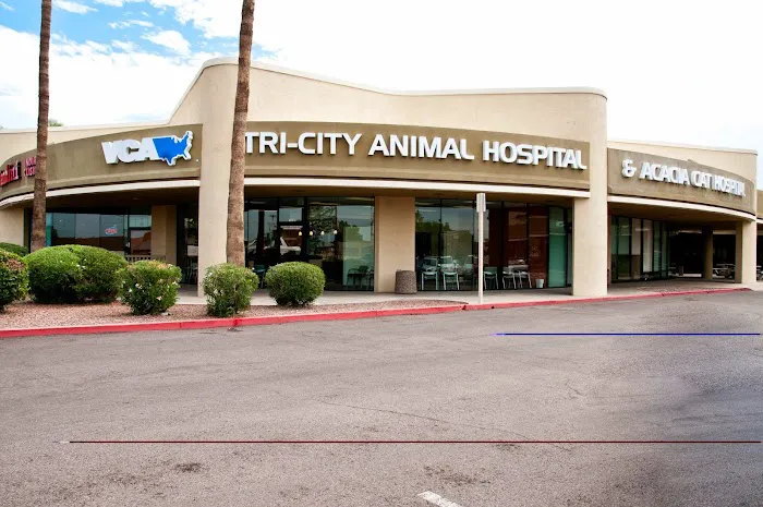 VCA Tri City Animal Hospital and Acacia Cat Hospital Picture 3