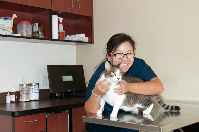 VCA Tri City Animal Hospital and Acacia Cat Hospital Picture 2