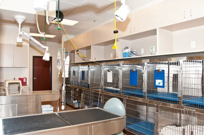 VCA Tri City Animal Hospital and Acacia Cat Hospital Picture 8