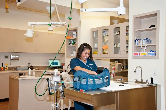 VCA Tri City Animal Hospital and Acacia Cat Hospital Picture 10