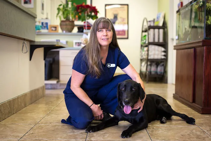 Topaz Veterinary Clinic Picture 2
