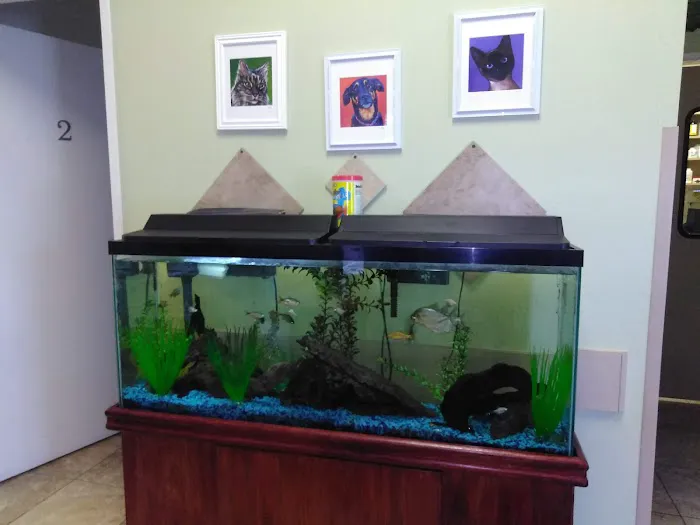 Topaz Veterinary Clinic Picture 9