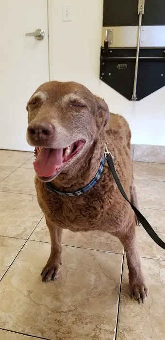 Topaz Veterinary Clinic Picture 7