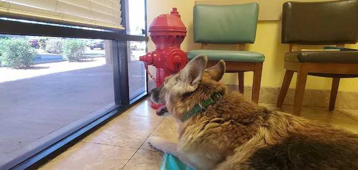 Topaz Veterinary Clinic Picture 8