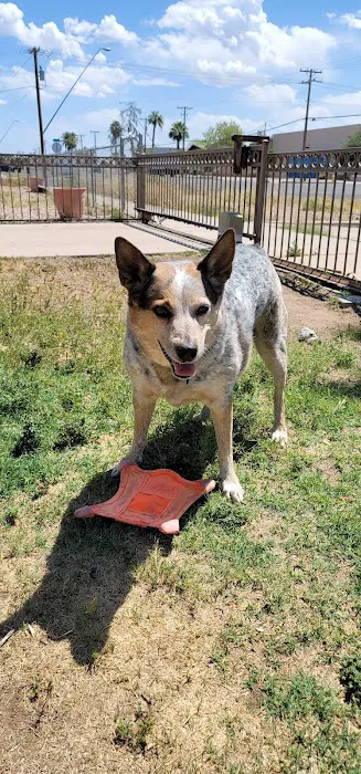 Topaz Veterinary Clinic Picture 10