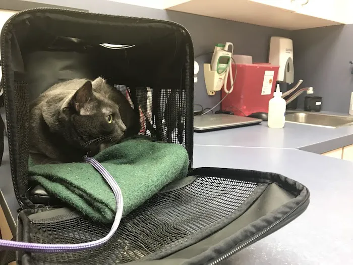 VCA University Animal Hospital Picture 4
