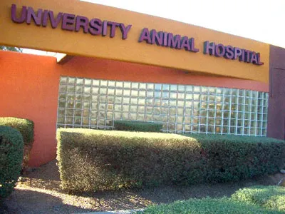 VCA University Animal Hospital Picture 10
