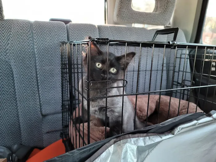 Tempe Veterinary Hospital Picture 4