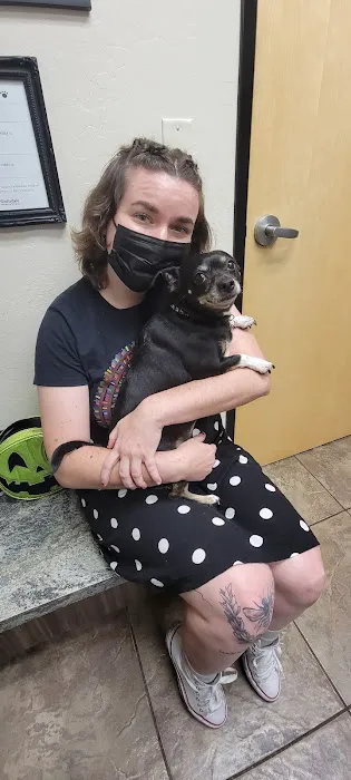 Scottsdale Veterinary Clinic Dental & Surgery Center Picture 7