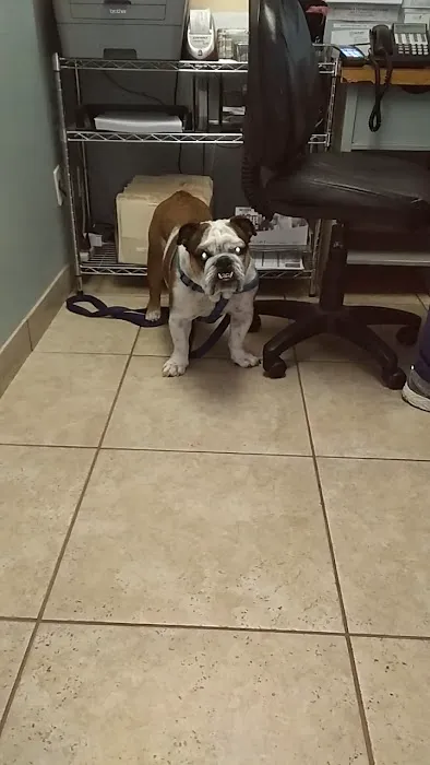 Low Cost Veterinary Surgery Clinic of Scottsdale Picture 5