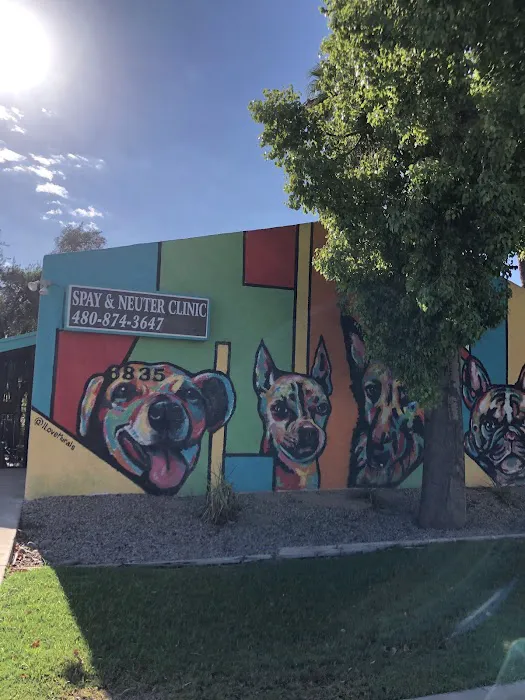 Low Cost Veterinary Surgery Clinic of Scottsdale Picture 9