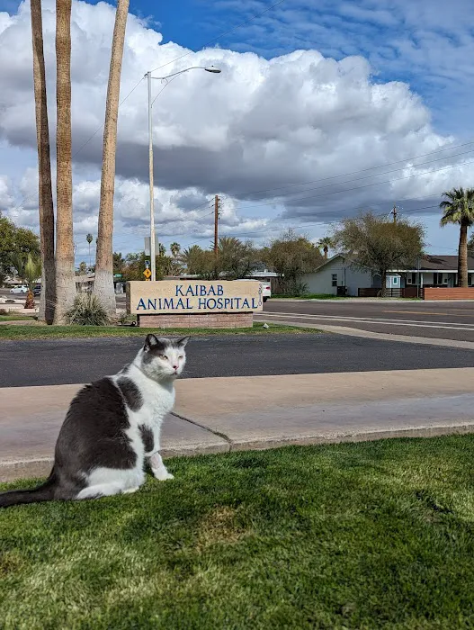 Kaibab Animal Hospital Picture 7