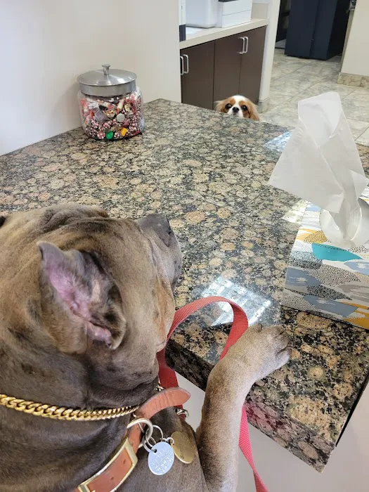 Caring Hearts Animal Clinic Picture 5