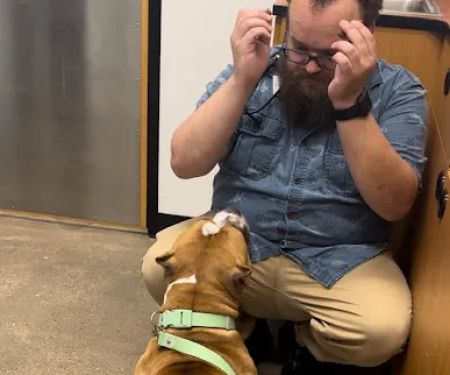 PetSmart Veterinary Services - Gilbert