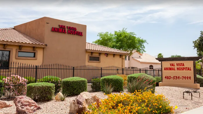Val Vista Animal Hospital Picture 3