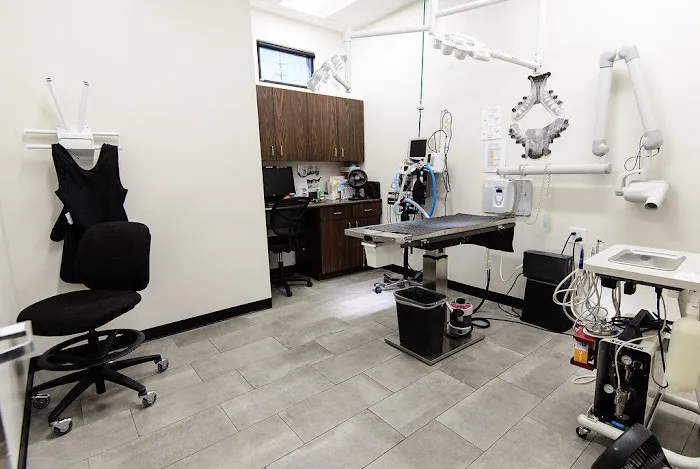 Val Vista Animal Hospital Picture 1