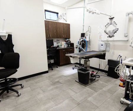 Val Vista Animal Hospital