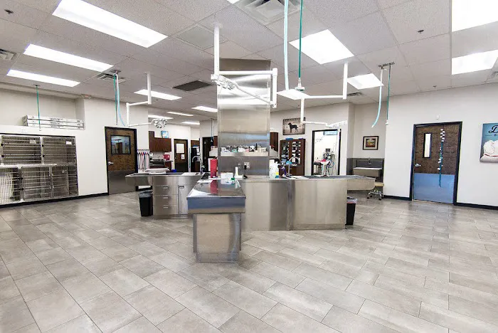 Val Vista Animal Hospital Picture 9