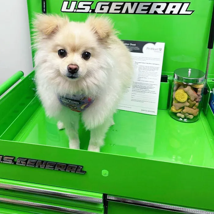 Dr Carr's Pet Repair Picture 5