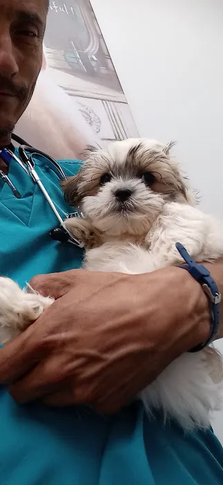 Dr Carr's Pet Repair Picture 8