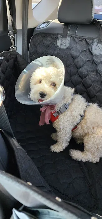 Banfield Pet Hospital Picture 1