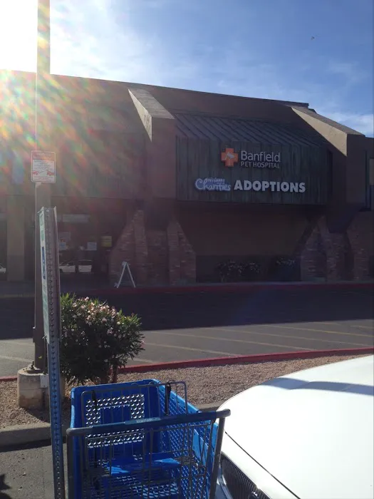 Banfield Pet Hospital Picture 8
