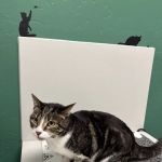 Brown Road Animal Clinic