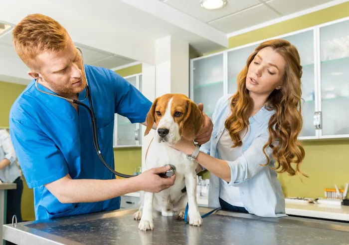 Affordable Veterinary Clinic Picture 2