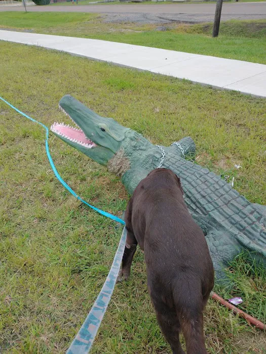 Affordable Veterinary Clinic Picture 8