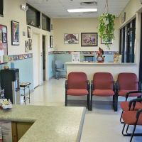 Red Mountain Animal Hospital ico