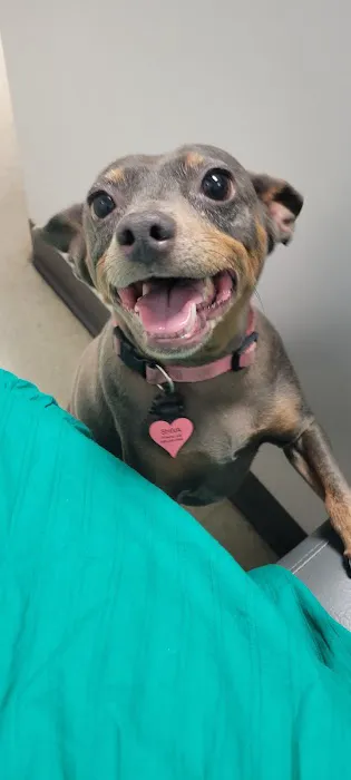 Red Mountain Animal Hospital Picture 4