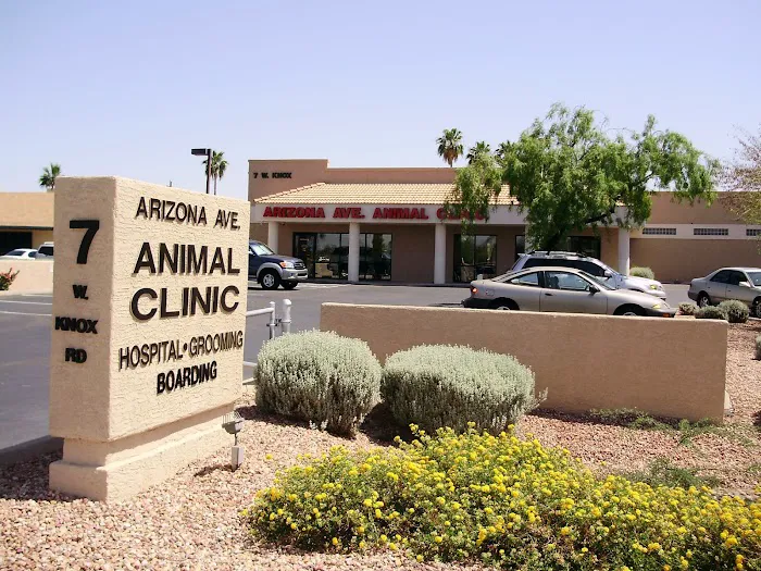 Arizona Avenue Animal Clinic Picture 3