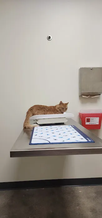 Vetco Total Care Animal Hospital Picture 2