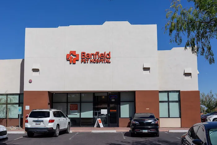 Banfield Pet Hospital Picture 1