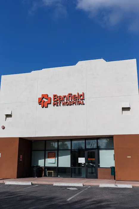 Banfield Pet Hospital Picture 8